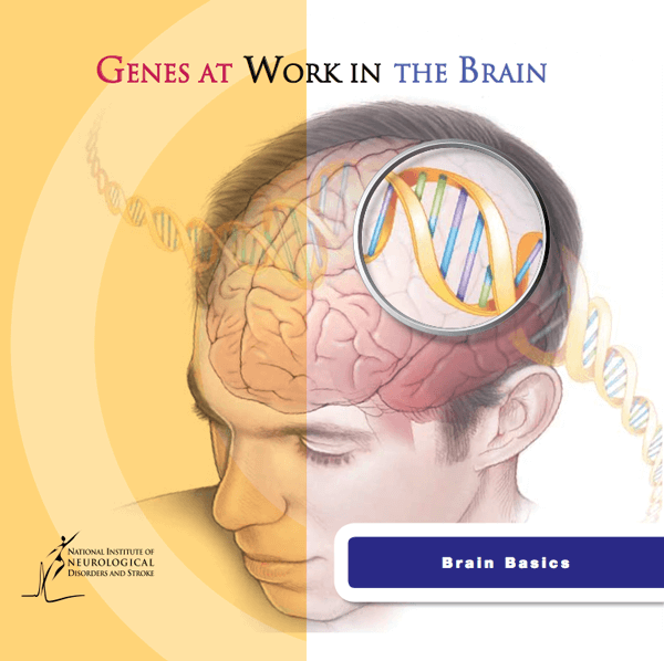 genes in brain